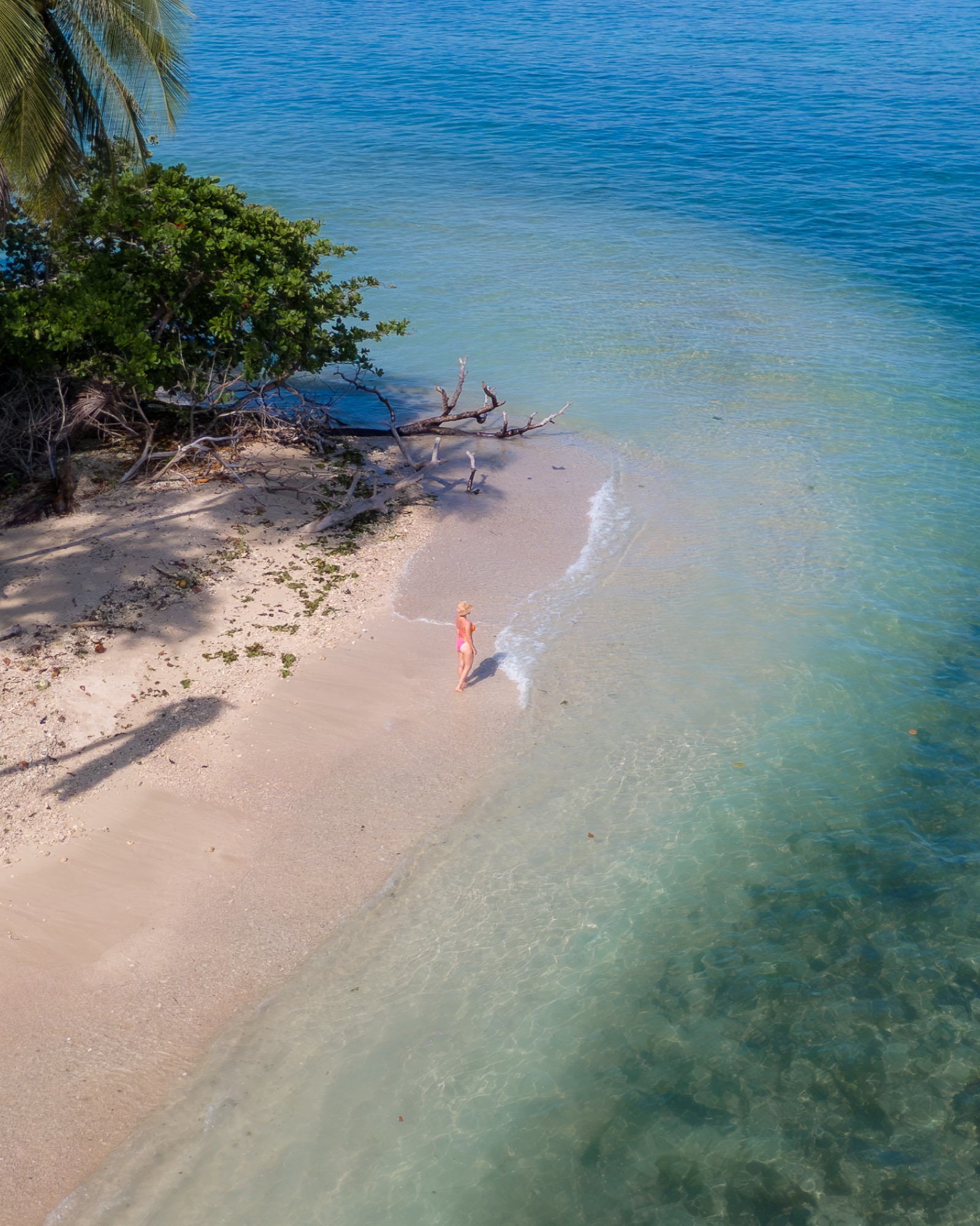 Plage sauvage aux eaux turquoise